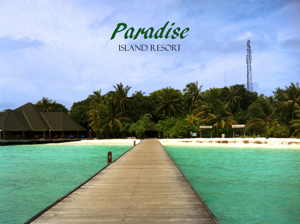 Paradise Island Resort pic
