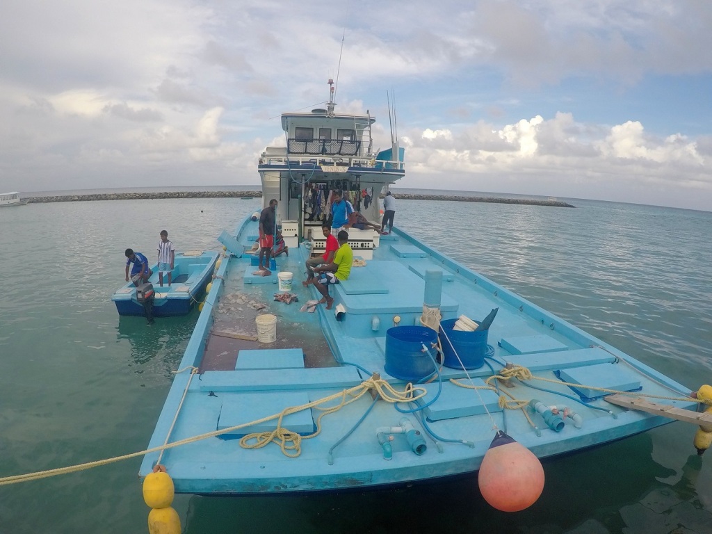 A colourful fishing boat. Friday tends to be a day for father-child bonding, and what better way to bond than while fishing!