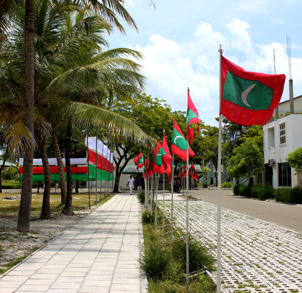 lots of flags