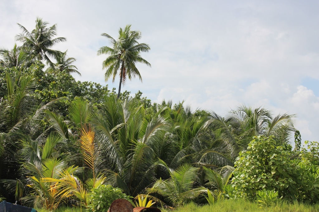 thulusdhoo