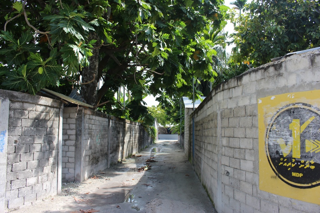 One of the many quiet roads with newly built walls