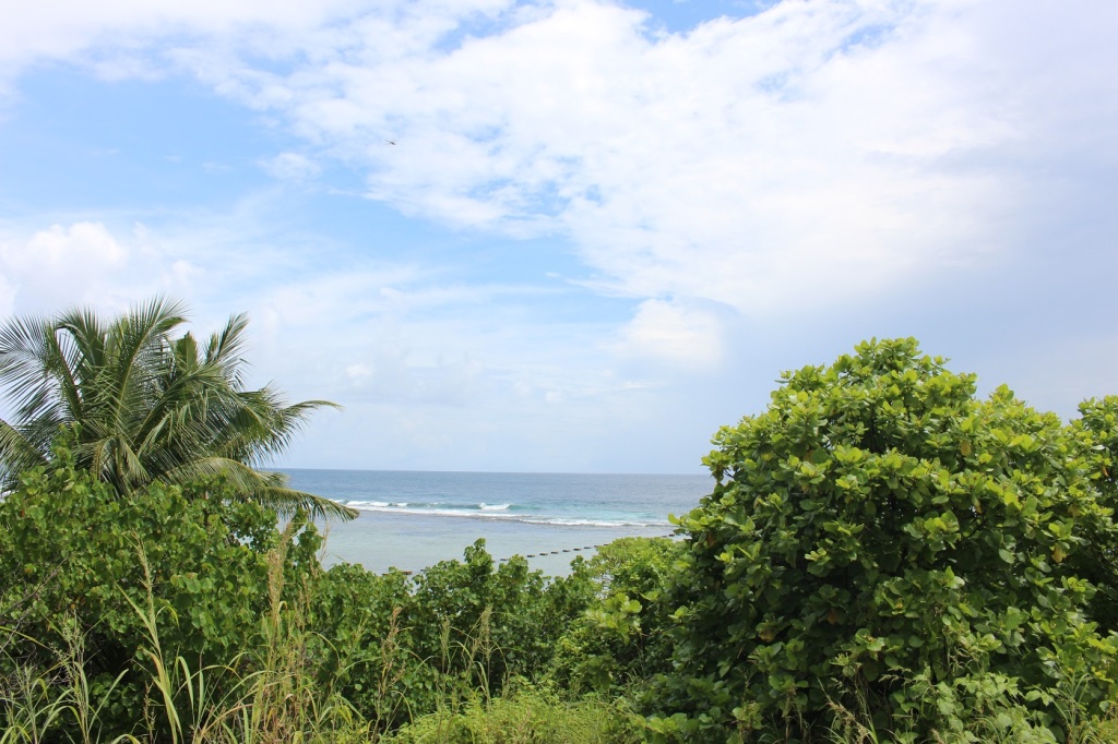 sea view from top of hill