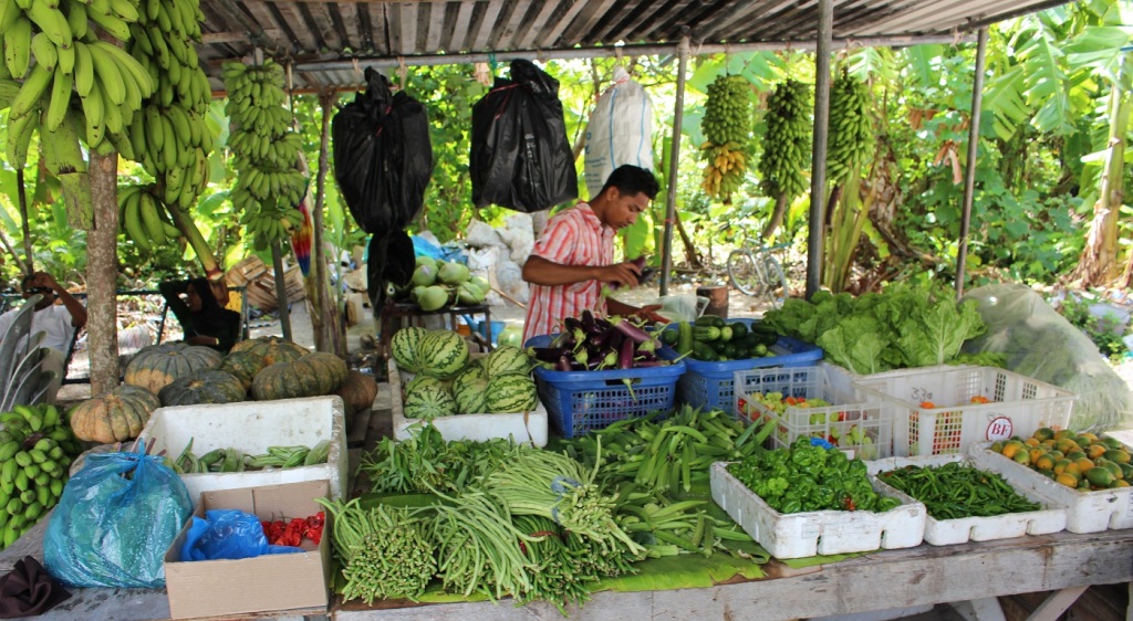 A vegetable market