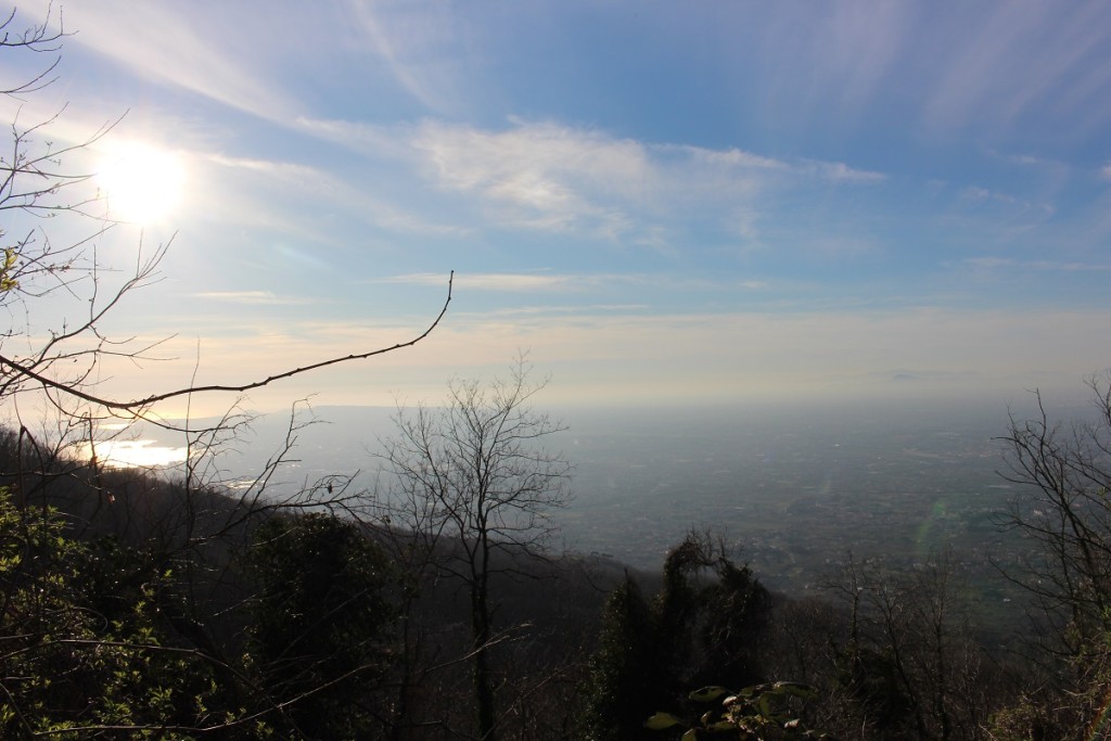 beautiful sunny view near top