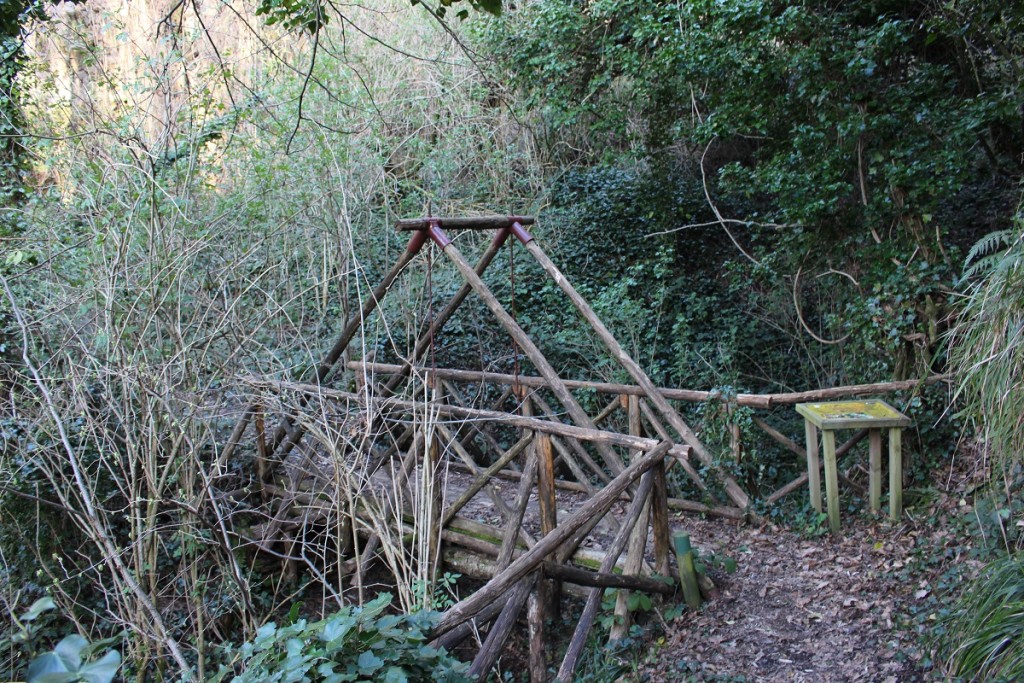 bridge along trail 3