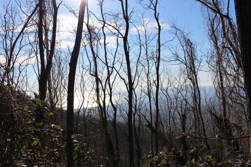 trail 3 view of sea