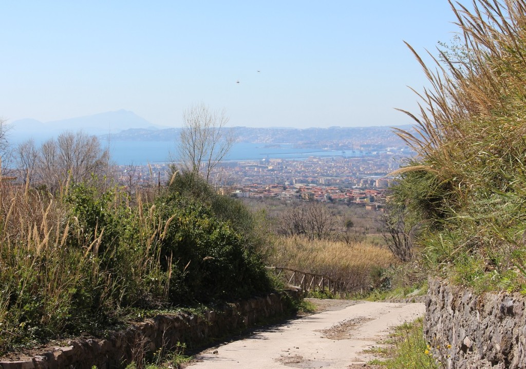 view of the bay and path walking