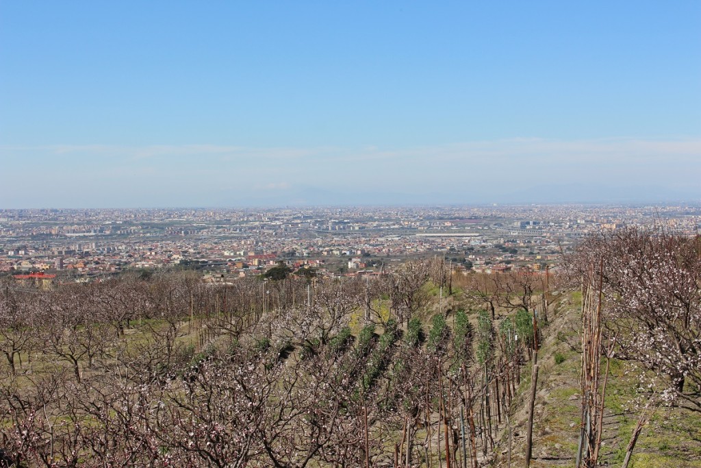 view of the towns and countryside