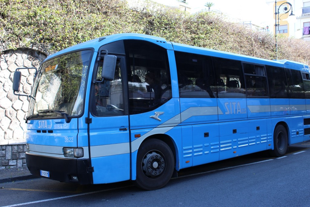 blue sita bus